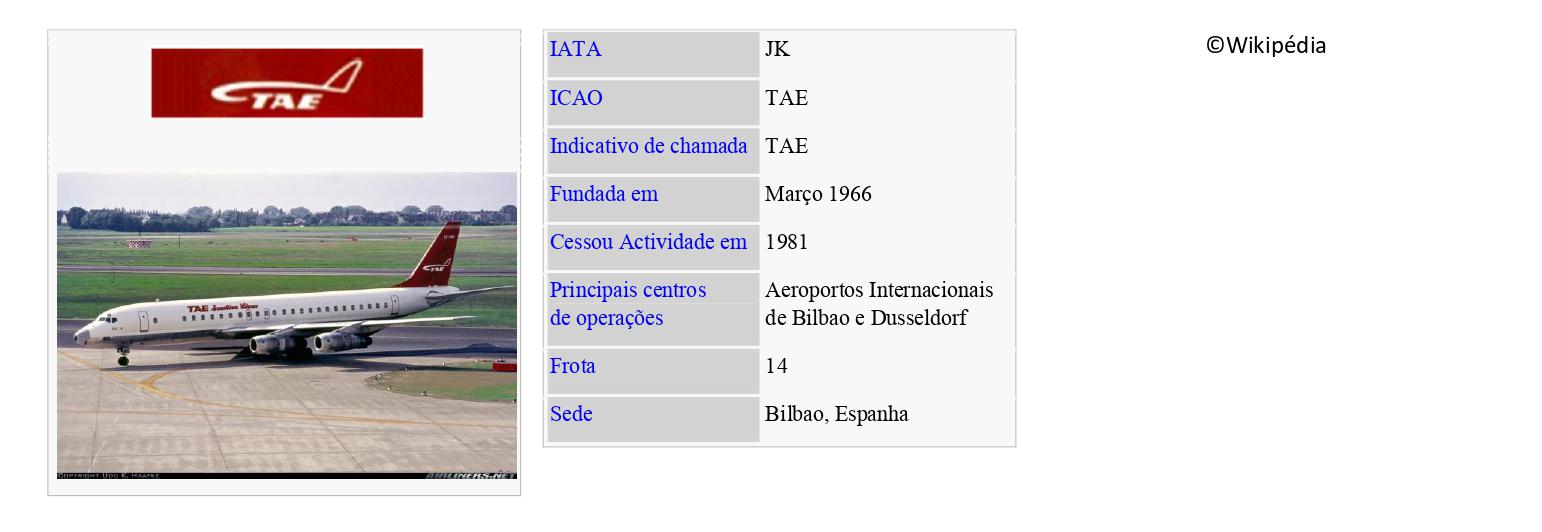 TAE – Trabajos Aéreos y Enlaces