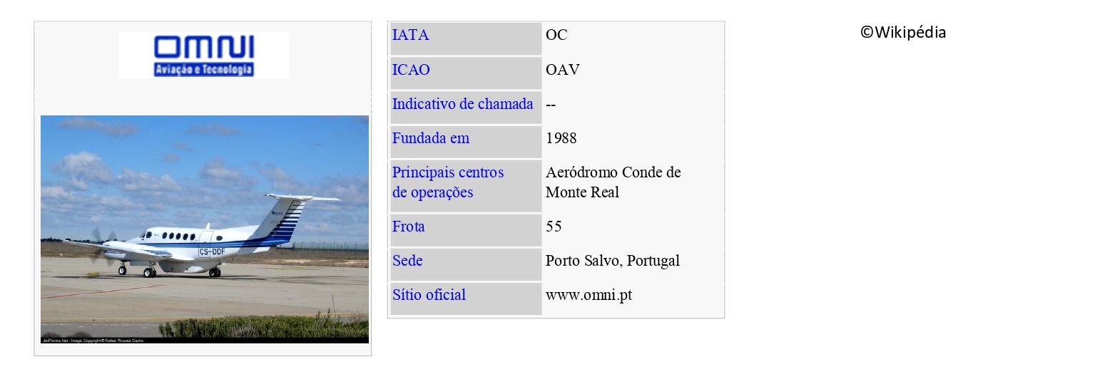 OMNI AVIATION
